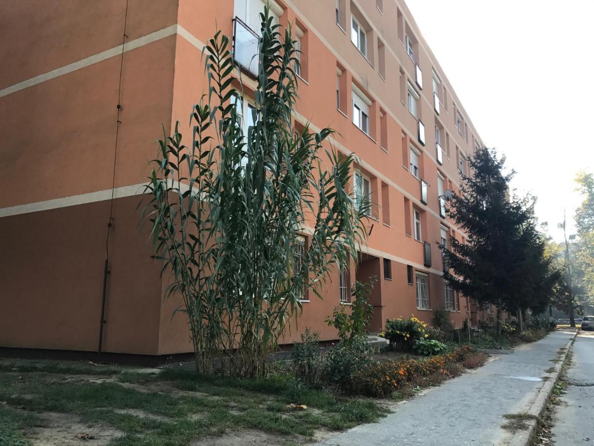 La Bella Maria Apartman 2. Apartman Kaposvár Kültér fotó